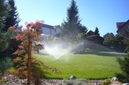 Voda v zahradě - Náhodné vodní prvky