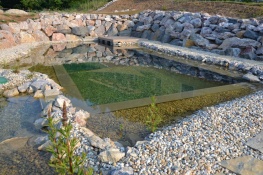Voda v zahradě - Biobazén 2
